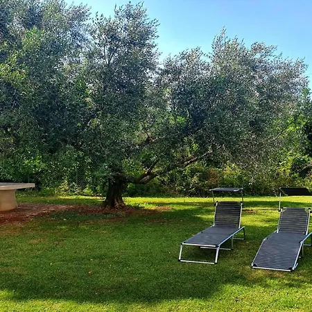 Apartment Renovierte In Zambratija Mit Grossem Garten
